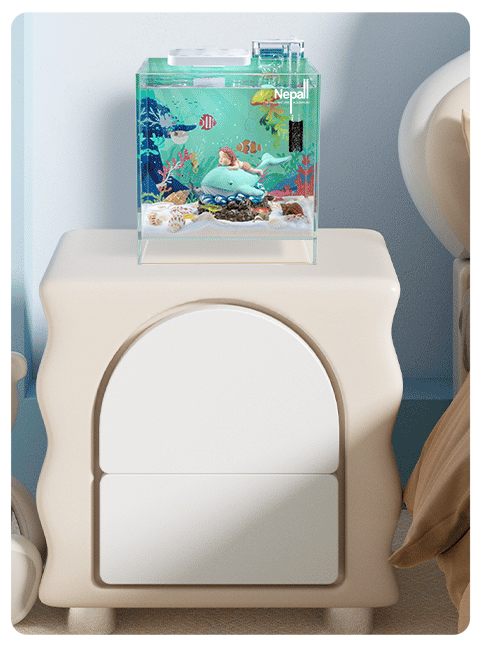 home decoration 2