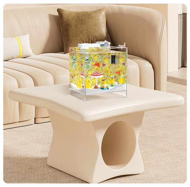 home decoration
