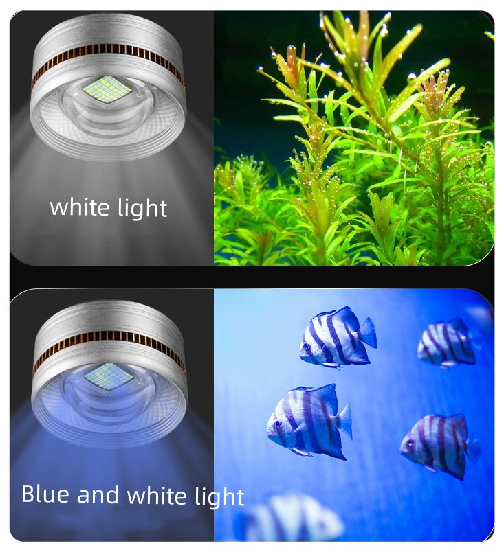 yee light 02