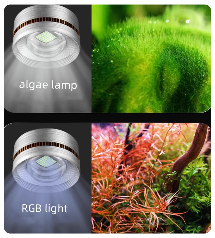 yee light 03
